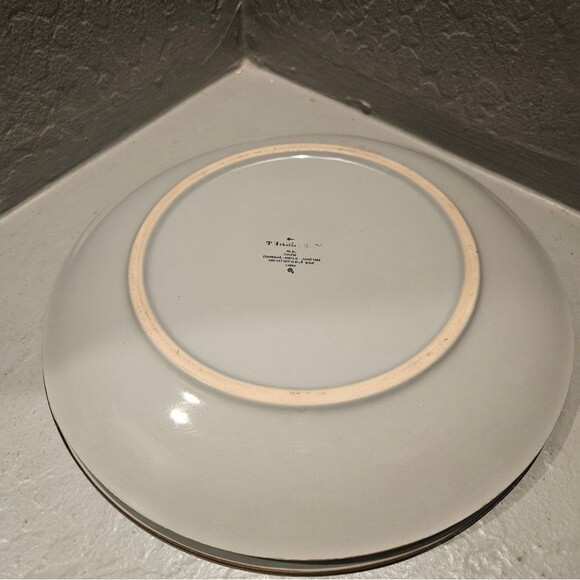 Target Threshold Vermillion Dinner Plates 11 inch 2 plates - Picture 6 of 6